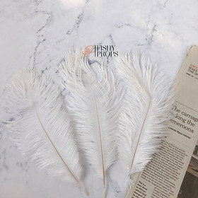 Mua PHỤ KIỆN CHỤP ẢNH- LÔNG NGỖNG LỚN