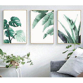 Mua Tranh treo tường | Tranh cây lá nhiệt đới  bộ 3 tranh Monstera  Nghệ thuật thực vật lá chuối  Nghệ thuật treo tường