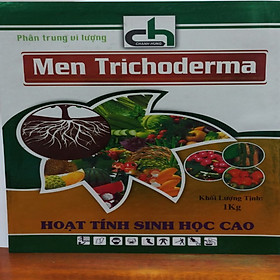 Nấm Trichoderma