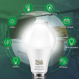 Mua ĐÈN LED CẢM BIẾN CHUYỂN ĐỘNG