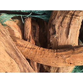 Rễ gỗ nghiến ghép lan dài 25 đến 30 cm trọng lượng 4 kg