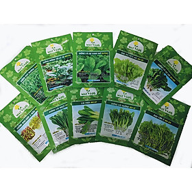 Mua Combo 10 gói hạt giống rau ăn lá phổ biến trồng thủy canh - 10 loại khác nhau như hình (chat với shop nếu muốn chọn)