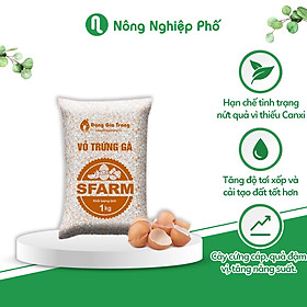 Vỏ trứng gà Sfarm đã qua xử lý