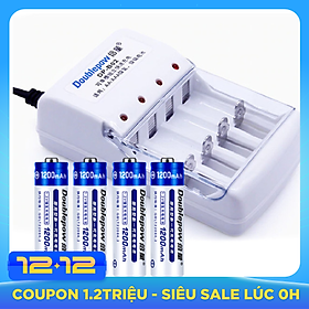 Bộ Sạc Pin AA AAA + 4 Pin AA 1200mAh Doublepow (Hàng nhập khẩu)