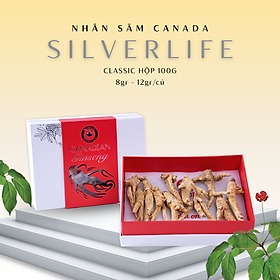 Nhân sâm khô Canada SilverLife Classic | Nhân sâm khô nguyên củ | Nhân sâm Canada chính gốc nguyên chất 100