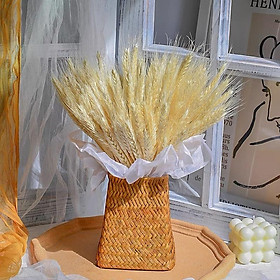 Mua Hoa khô lúa mạch decor nhà cửa  Hoa Lúa Mạch khô retro vintage trang trí bàn làm việc  chụp ảnh