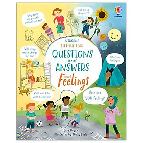 Lift-the-Flap Questions And Answers About Feelings