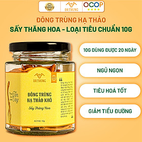 Hình ảnh Đông trùng hạ thảo DR. TRUNG (Sợi Khô - Sấy thăng hoa) Hũ 10 Gram - Loại TIÊU CHUẨN - (Cordycepin & Adenosine cao giúp tăng đề kháng mạnh, ngủ ngon, giảm mệt mỏi)