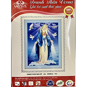 Mua Tranh thêu kín Đức mẹ Maria VS8005  kích thước 60 x 80 cm