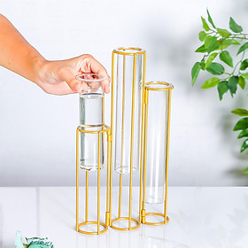 Glass Flower Vase, Test Tube Vase for Hydroponic Plant, Small Bud Vase for Home Kitchen Office Table Top Decor