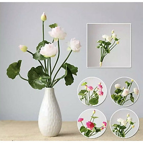 Mua Cụm Hoa Sen Giả - Dài 30cm