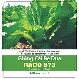 Mua Cải bẹ dưa Rado 673 10gr - RẠNG ĐÔNG - bắp cuộn lớn và chắc  năng suất cao  ăn rất ngon không bị đắng - Trồng quanh năm
