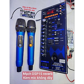 Mạch Loa kéo 14,5x35cm DSP15 KÈM Mic Không Dây