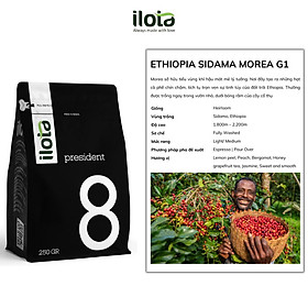 Cà phê Ethiopia Sidama Morea G1 ILOTA Rang Mộc 250g