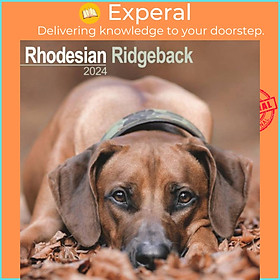 Sách - Rhodesian Ridgeback Calendar 2024  Square Dog Breed Wall Calendar - 16 Month by  (UK edition, paperback)