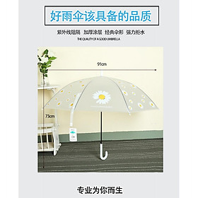 Ô/Dù Che mưa Nắng Hoa Cúc  ô/Dù Che Nắng Hoa Cúc trong Hot Trend Nhiều Màu