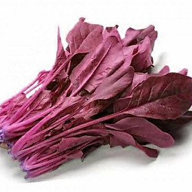 Mua Hạt giống cải bó xôi đỏ - (  2000 hạt)