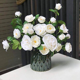 Mua Lọ hoa khía múi
