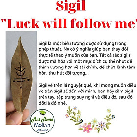 Mua {Bó dùng thử} Xô Thơm Trắng Thanh Tẩy   White Sage