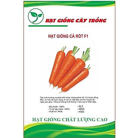 Hạt giống cà rốt cao sản chịu nhiệt CT170 - Gói 100 hạt