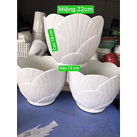 Chậu Nhựa Trồng Hoa Đê Bàn Sò trắng KT 22 x 18 x 13cm