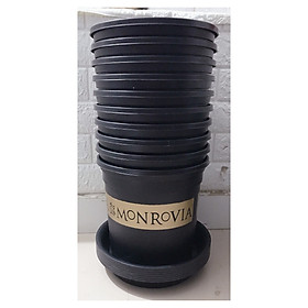 Combo 10 Chậu MONROVIA CH Garden 2Gal + 10 Khay Lót Đế Chậu 26 - Màu Đen