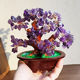 Hình ảnh Cây Tài Lộc bằng đá thạch anh thiên nhiên size 16cm - đá thạch anh tím