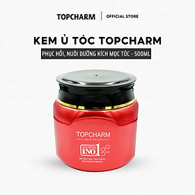 Kem Ủ Phục Hồi Tóc TOPCHARM Hương Nước Hoa Hủ 500g