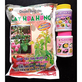 Bộ 3 chăm sóc cây Hoa Hồng - Giai đoạn nở hoa