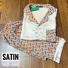 [HCM] (40-56kg) Đồ bộ satin TNQD. Đồ bộ TNQD satin. Đồ bộ pijama satin TNQD. Đồ bộ pyjama satin TNQD. Đồ bộ pizama satin TNQD. Đồ bộ mặc nhà nữ. Đồ bộ mặc ngủ nữ.
