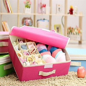 Hộp Đựng Đồ Lót Đa Năng 16 Ô Có Nắp Đậy, Hộp Đựng Kín Đáo - Tiện Dụng - Bảo Quản Tốt Đồ Đạc (Giao Màu Ngẫu Nhiên)