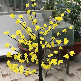 Mua Cây Hoa Mai  đào Trang Trí Tết Cực Đẹp Có đèn led cực đẹp