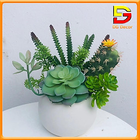 Mua Cây giả  chậu cây sen đá và xương rồng giả để bàn trang trí kệ tủ  bàn làm việc xanh tươi SD-03