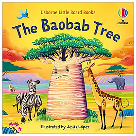 Usborne Little Board Books: The Baobab Tree