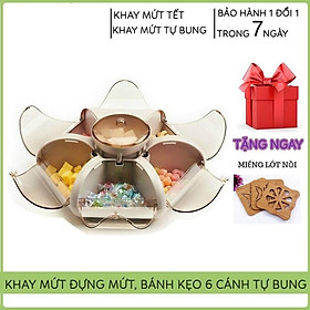 Mua Khay Mứt Tết Khay Đựng Bánh Kẹo 6 Cánh Hoa Tự Bung Sang Chảnh  Lịch Sự