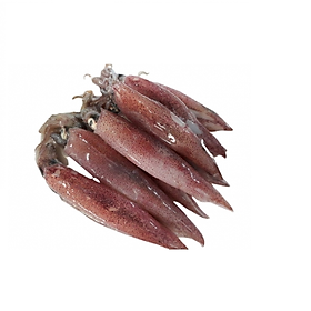 Mực ghim trứng vừa 500g