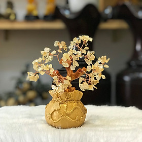 Cây Tài Lộc Thạch Anh Vàng Chậu Túi Vàng