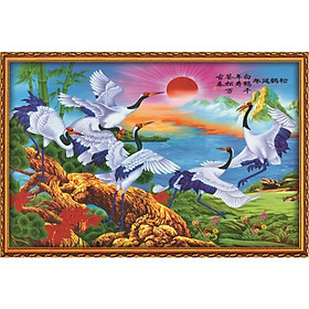 Giấy dán tường - TTM440