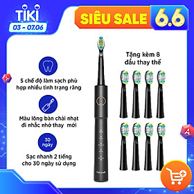 Bàn chải điện Fairywill E11 Black & 8 Đầu Thay Thế