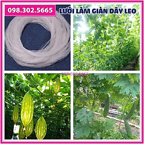 Lưới cước trắng làm giàn dưa leo dưa chuột, mướp, đậu kích thước 1.8 x 100m