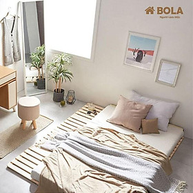 Mua Giường Ngủ Pallet 1m4 Gỗ Thông Gấp Gọn Bola