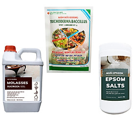 Mua Bộ Sản Phẩm Ủ Phân Compost Loại 1 - Ủ Rác - Làm Phân Hữu Cơ Tại Nhà - Men Vi Sinh Ủ Phân ComPost Trichodema Rỉ Đường Muối Epsom
