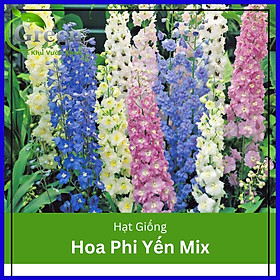 Hạt Giống Hoa Phi Yến Nhiều Màu Mix 50 hạt