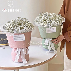 Mua Bó Hoa Baby Khô Tự Nhiên Hoa Khô Trang Trí Làm Quà Tặng 20/10  10/11  8/3 DG-192