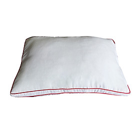 Mua Ruột gối cao cấp Singapore 2 viền kích thước 45x65cm