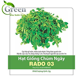 Mua Hạt Giống Chùm Ngây