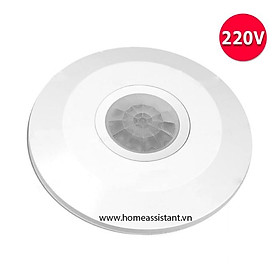 Mua Công Tắc Chuyển Động Hồng Ngoại Ốp Trần 1200W PIR04