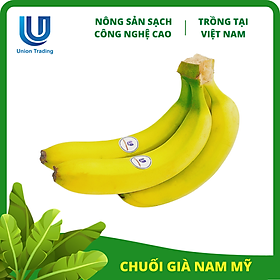 Chuối Tươi Union Trading - Nhánh 500g - Thơm Dẻo, Giàu Dinh Dưỡng - Trồng Công Nghệ Cao Tại Việt Nam