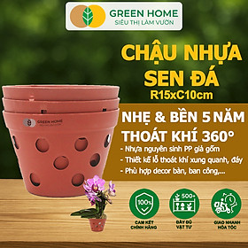 Chậu Trồng Lan Greenhome, R15xC10cm, Nhựa Màu Gốm, Bền, Đẹp, Chống Rơi Vỡ, Thoáng Rễ, Giá Thành Tốt