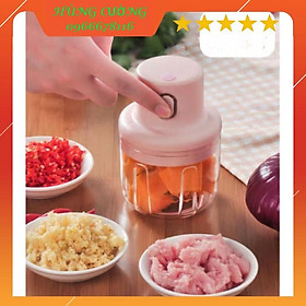 Mua Máy xay mini 250ml tích điện cầm tay có cổng sạc usb. chuyên dùng xay thịt  tỏi  ớt  thực phẩm
